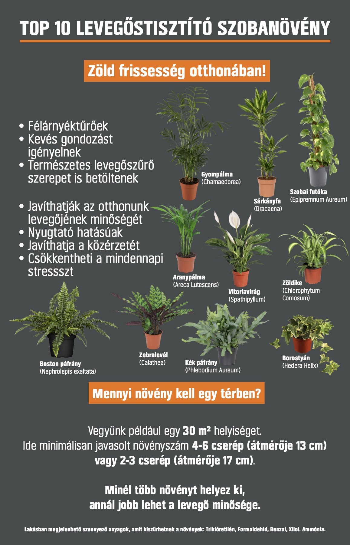 Overview poster of the top 10 air-filtering houseplants